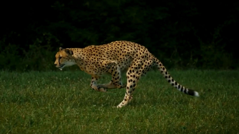 MOTIVACIONAL - JOHNSON&JOHNSON